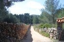Route de St Loup